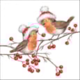 Ambiente Napkin Christmas Robin 33cm Ambiente Napkin Christmas Robin 33cm
