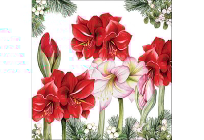 Ambiente Blooming Amaryllis White 33cm