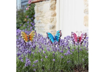 Loony Stakes Bella Butterflies Loony Stakes Bella Butterflies