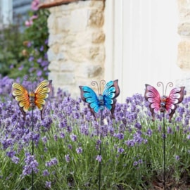 Loony Stakes  Bella Butterflies