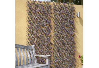 Smart Garden Vivid Violet Trellis 180 x 60cm (5604009)