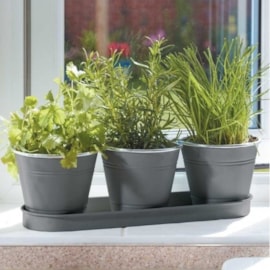 Smart Garden Windowsill Herb Pots (6030302)