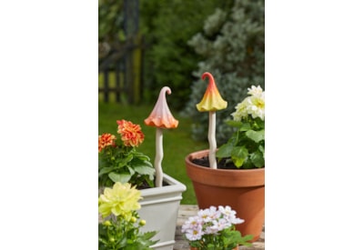 Smart Garden Wizards Hat Asst Large Smart Garden Wizards Hat Asst Large