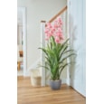 Smart Garden Orchid 140cm Smart Garden Orchid 140cm