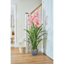 Smart Garden Orchid 140cm Smart Garden Orchid 140cm