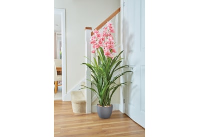 Smart Garden Orchid 140cm Smart Garden Orchid 140cm