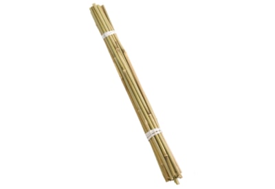 60Cm Bamboo Canes - Bundle Of 20 60Cm Bamboo Canes - Bundle Of 20