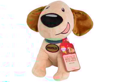 Good Boy  Gift Pawsely  26Cm (10")