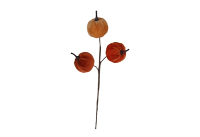 Gisela Graham Autumn Mix Velvet Pumpkin Pick 26cm Gisela Graham Autumn Mix Velvet Pumpkin Pick 26cm