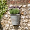Creekwood Blenheim Wall Pot Grey Creekwood Blenheim Wall Pot Grey
