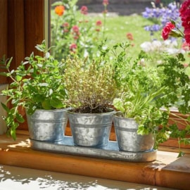 Smart Garden Windowsill Herb Pots Galvanised 3pk (6030317)