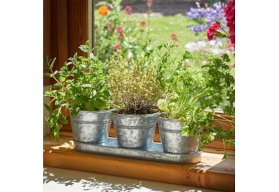 Smart Garden Windowsill Herb Pots Galvanised 3pk Smart Garden Windowsill Herb Pots Galvanised 3pk
