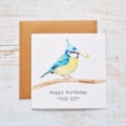 Blue Tit Bird Birthday Card With Party Hat Rude Humour Blue Tit Bird Birthday Card With Party Hat Rude Humour