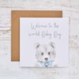 Baby Boy Welcome Card Teddy With Blue Bow Tie