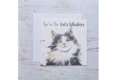 Cats Whiskers Friend Card Cats Whiskers Friend Card
