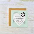 Have An Absolutely Puurrfect Birthday Love The Cat Card