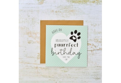 Have An Absolutely Puurrfect Birthday Love The Cat Card