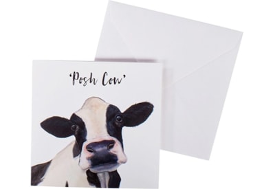 Cow Card (4DF362)