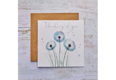 Thinking Of You Sympathy Card White With Blue Dandelions Thinking Of You Sympathy Card White With Blue Dandelions