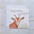 Old Goat Birthday Card (4FA101)