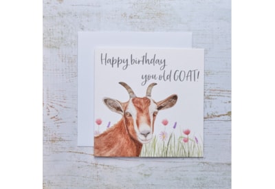 Old Goat Birthday Card (4FA101)