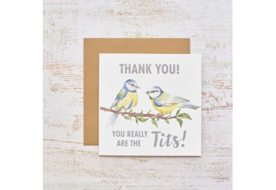 Feathered Fellas Thank You Blue Tit Card Feathered Fellas Thank You Blue Tit Card
