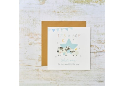 Its A Boy Farm Animals Card Its A Boy Farm Animals Card