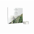 Wax Lyrical Tealights Herb Garden 9s (WLE3024)