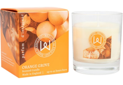 Wax Lyrical Wax Fill Candle Orange Grove 30cl (PR2002)