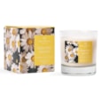 Boxed Candle Dancing Daisies Medium Boxed Candle Dancing Daisies Medium