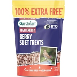 Gardman Seed & Mealworm Suet Treats Berry 1kg Gardman Seed & Mealworm Suet Treats Berry 1kg