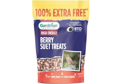 Gardman Seed & Mealworm Suet Treats Berry 1kg Gardman Seed & Mealworm Suet Treats Berry 1kg