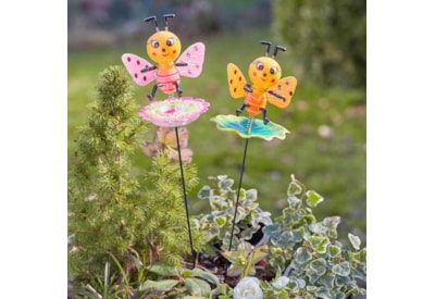 Loony Stakes Bizzies Loony Stakes Bizzies