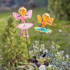 Loony Stakes Bizzies