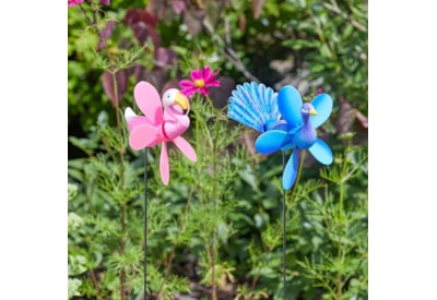 Loony Stake Peacock And Flamingo Loony Stake Peacock And Flamingo