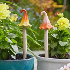 Smart Garden Wizards Hat Asst Smart Garden Wizards Hat Asst