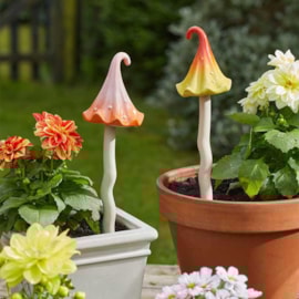 Smart Garden Wizards Hat Asst Large Smart Garden Wizards Hat Asst Large