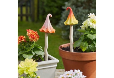 Smart Garden Wizards Hat Asst Large Smart Garden Wizards Hat Asst Large