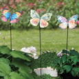 Smart Garden Papillon Stake Mixed Case