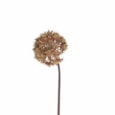 Gisela Graham Antique Russet Allium Stem 60cm Gisela Graham Antique Russet Allium Stem 60cm