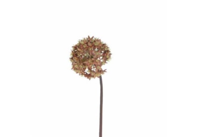 Gisela Graham Antique Russet Allium Stem 60cm Gisela Graham Antique Russet Allium Stem 60cm
