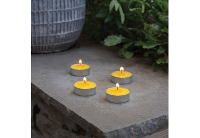 Citronella T-Lights 20-Pk Citronella T-Lights 20-Pk