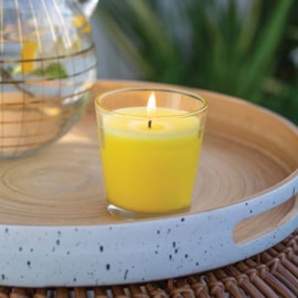 Citronella Jar Candle Citronella Jar Candle