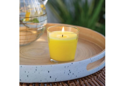 Citronella Jar Candle Citronella Jar Candle