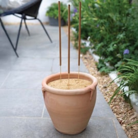 Citronella Incense Sticks 12-Pk Citronella Incense Sticks 12-Pk