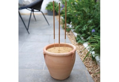 Citronella Incense Sticks 12-Pk Citronella Incense Sticks 12-Pk