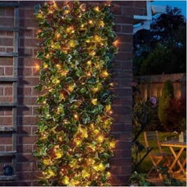Smart Garden Solar In-lit Ivy Trellis 75 Led Smart Garden Solar In-lit Ivy Trellis 75 Led