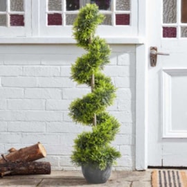 Smart Garden Cypress Twirl 120cm Smart Garden Cypress Twirl 120cm