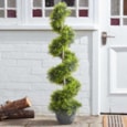 Smart Garden Cypress Twirl 120cm Smart Garden Cypress Twirl 120cm