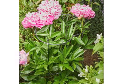 Smart Garden Gro Cone With 75cm Legs 30cm Smart Garden Gro Cone With 75cm Legs 30cm